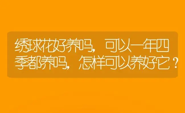 绣球花好养吗，可以一年四季都养吗，怎样可以养好它？ | 绿植常识