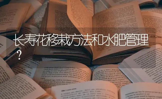 长寿花移栽方法和水肥管理？ | 多肉养殖