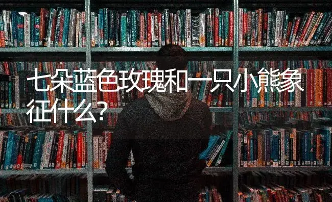 七朵蓝色玫瑰和一只小熊象征什么？ | 绿植常识