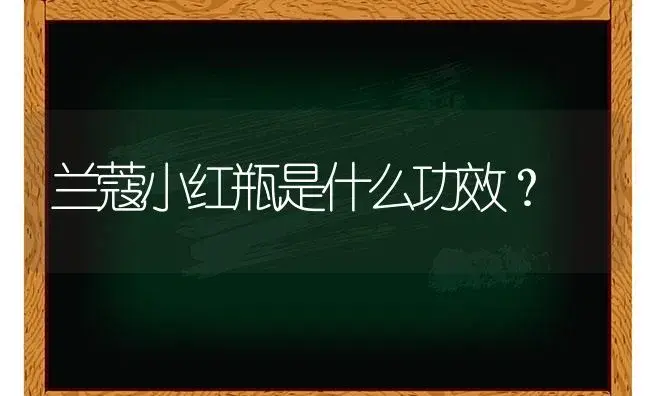 兰蔻小红瓶是什么功效？ | 绿植常识