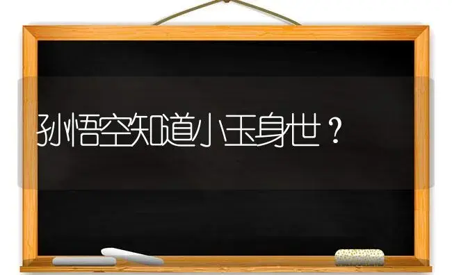 孙悟空知道小玉身世？ | 多肉养殖