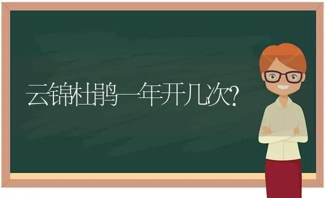 云锦杜鹃一年开几次？ | 绿植常识