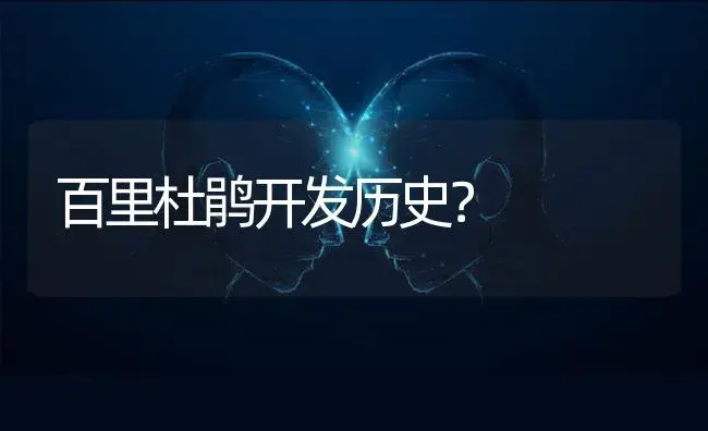 中国红月季的养殖方法和注意事项？ | 绿植常识