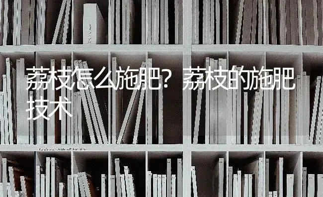 荔枝怎么施肥？荔枝的施肥技术 | 果木种植