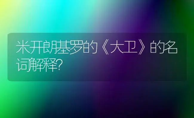 米开朗基罗的《大卫》的名词解释？ | 多肉养殖