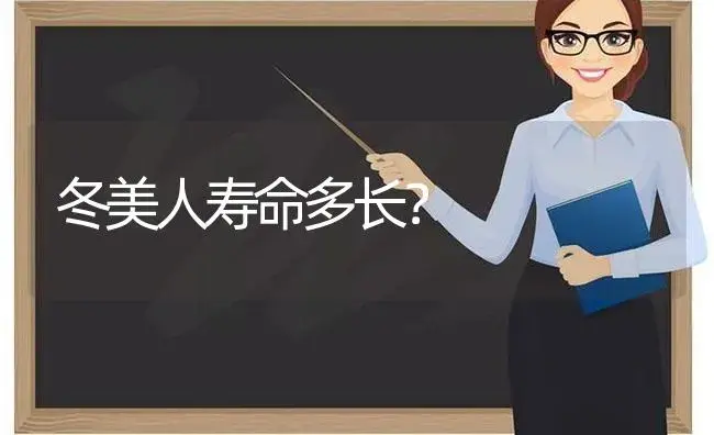 冬美人寿命多长？ | 多肉养殖