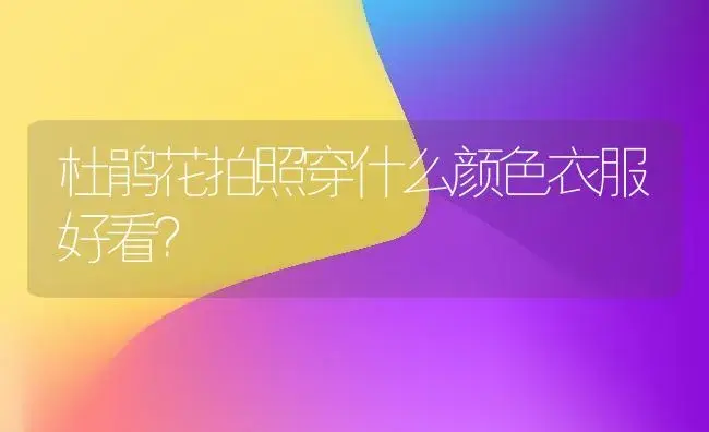 杜鹃花拍照穿什么颜色衣服好看？ | 绿植常识