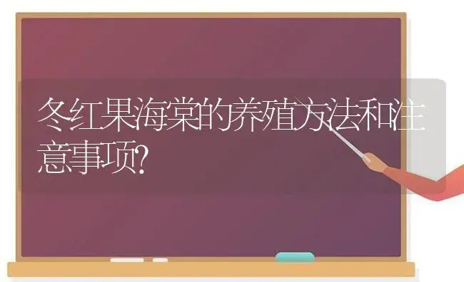 冬红果海棠的养殖方法和注意事项？ | 绿植常识