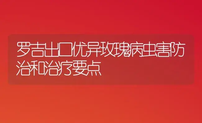 罗吉出口优异玫瑰病虫害防治和治疗要点 | 家庭养花