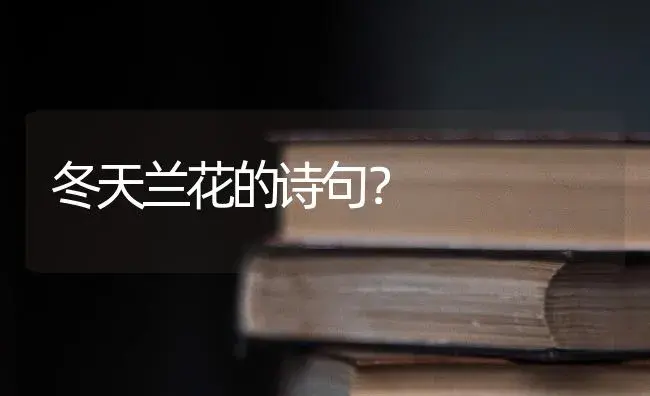 冬天兰花的诗句？ | 绿植常识