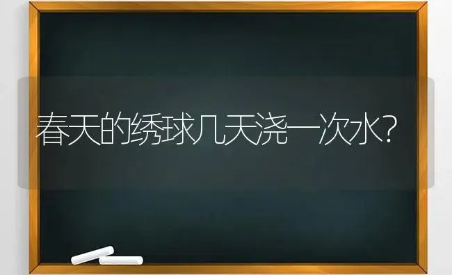 春天的绣球几天浇一次水？ | 绿植常识