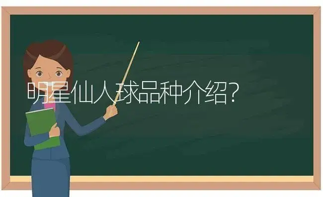 明星仙人球品种介绍？ | 多肉养殖