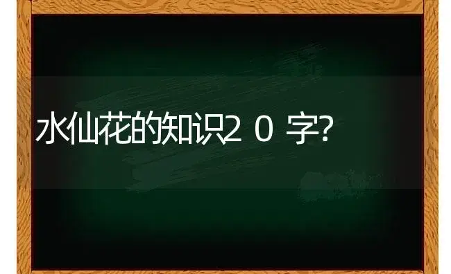 水仙花的知识20字？ | 绿植常识