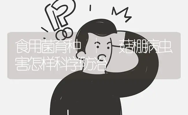 菇棚病虫害怎样科学防治 | 菌菇种植