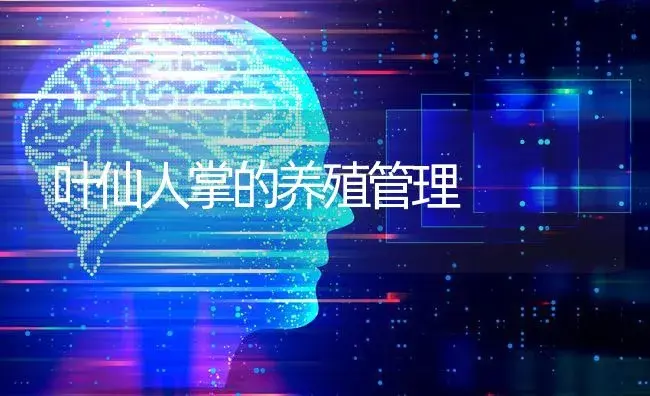 叶仙人掌的养殖管理 | 特种种植