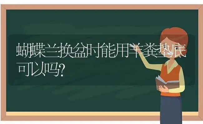 蝴蝶兰换盆时能用羊粪垫底可以吗？ | 绿植常识