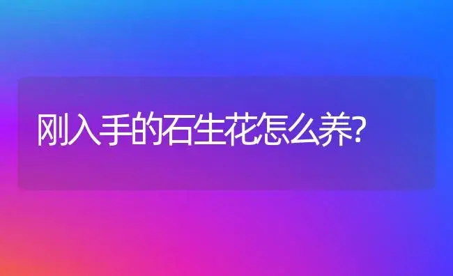 刚入手的石生花怎么养？ | 多肉养殖