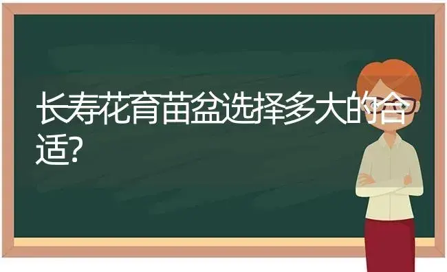 长寿花育苗盆选择多大的合适？ | 多肉养殖