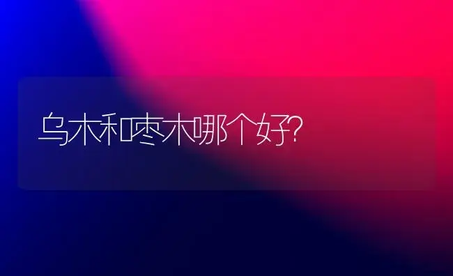 乌木和枣木哪个好？ | 多肉养殖