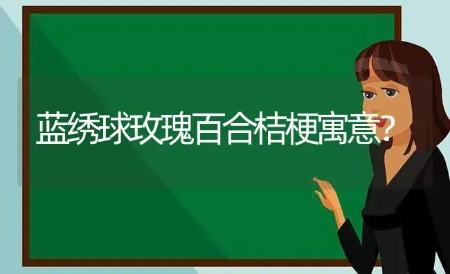 蓝绣球玫瑰百合桔梗寓意？ | 绿植常识