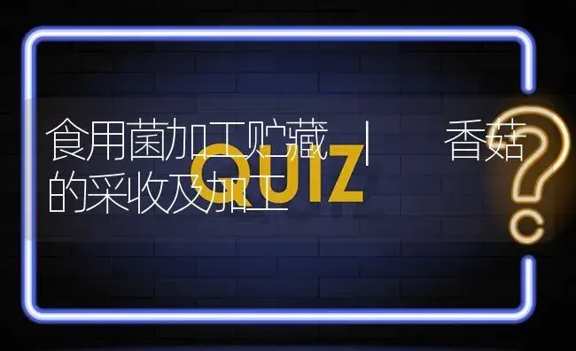 香菇的采收及加工 | 菌菇种植