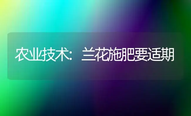 农业技术:兰花施肥要适期 | 家庭养花