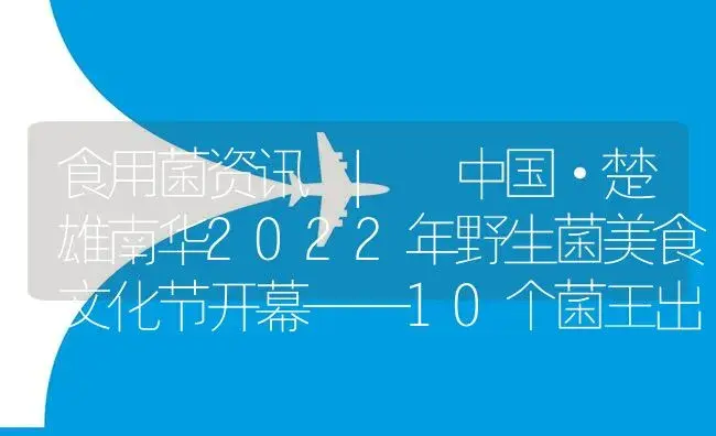 中国·楚雄南华2022年野生菌美食文化节开幕——10个菌王出炉 “重量王”接近10公斤 | 菌菇种植