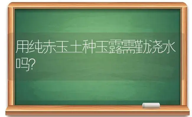 用纯赤玉土种玉露需勤浇水吗？ | 多肉养殖