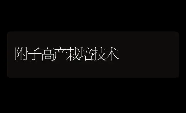 附子高产栽培技术 | 药材种植