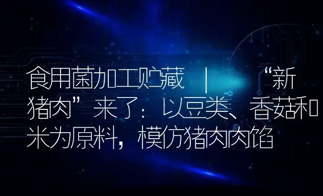 “新猪肉”来了：以豆类、香菇和米为原料，模仿猪肉肉馅 | 菌菇种植