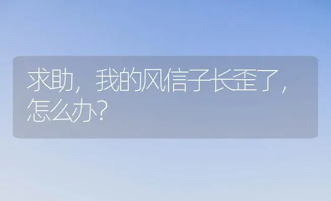 求助，我的风信子长歪了，怎么办？ | 绿植常识