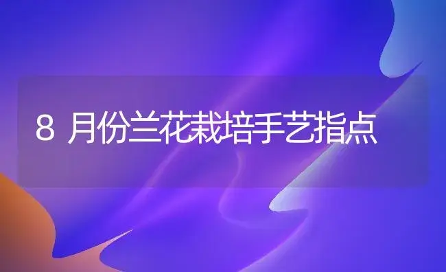 8月份兰花栽培手艺指点 | 家庭养花