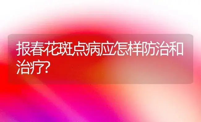 报春花斑点病应怎样防治和治疗? | 家庭养花