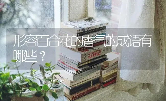 形容百合花的香气的成语有哪些？ | 绿植常识