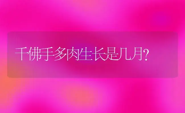 千佛手多肉生长是几月？ | 多肉养殖
