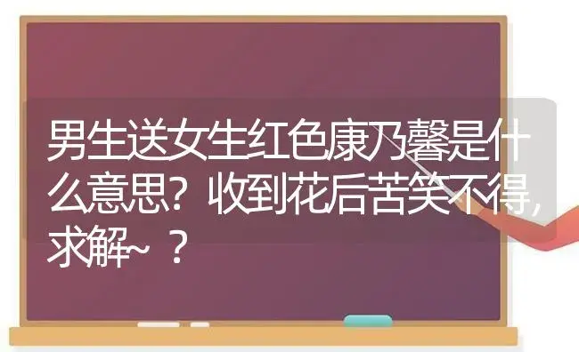 男生送女生红色康乃馨是什么意思？收到花后苦笑不得，求解~？ | 绿植常识