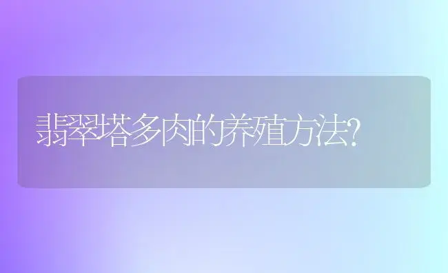 翡翠塔多肉的养殖方法？ | 多肉养殖