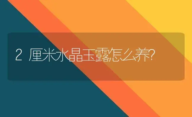 2厘米水晶玉露怎么养？ | 多肉养殖