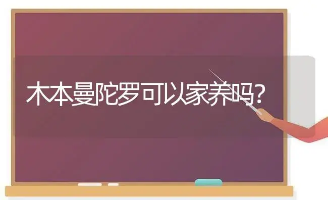 木本曼陀罗可以家养吗？ | 绿植常识