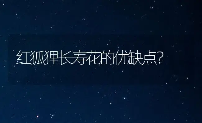 红狐狸长寿花的优缺点？ | 多肉养殖