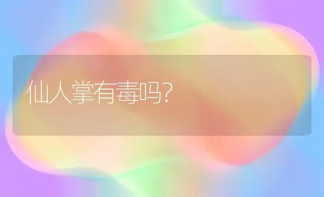 仙人掌有毒吗？ | 家庭养花