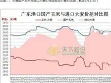 玉米及高粱 大麦价格跌跌不休