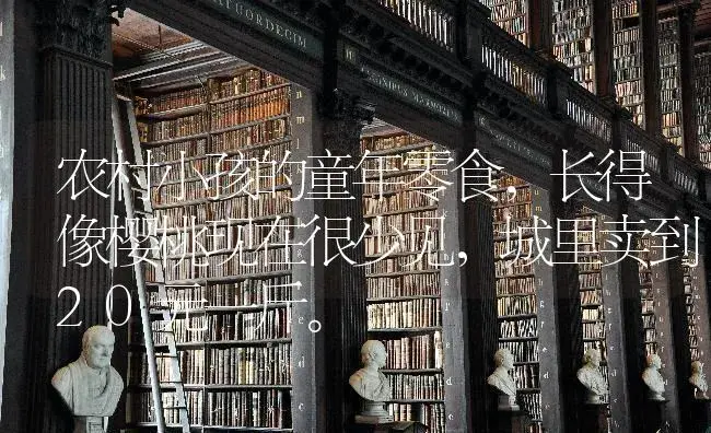 农村小孩的童年零食，长得像樱桃现在很少见，城里卖到20元一斤。 | 果木种植