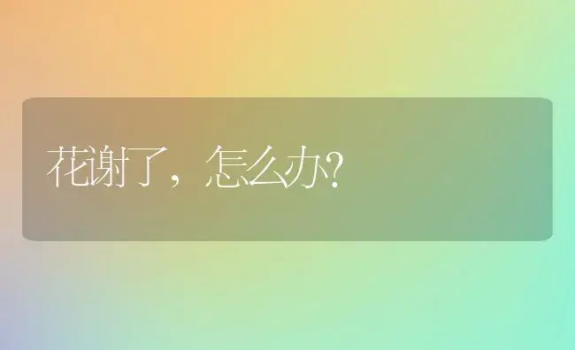 花谢了，怎么办？ | 绿植常识