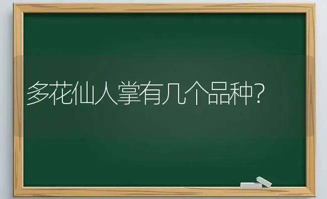 多花仙人掌有几个品种？ | 多肉养殖