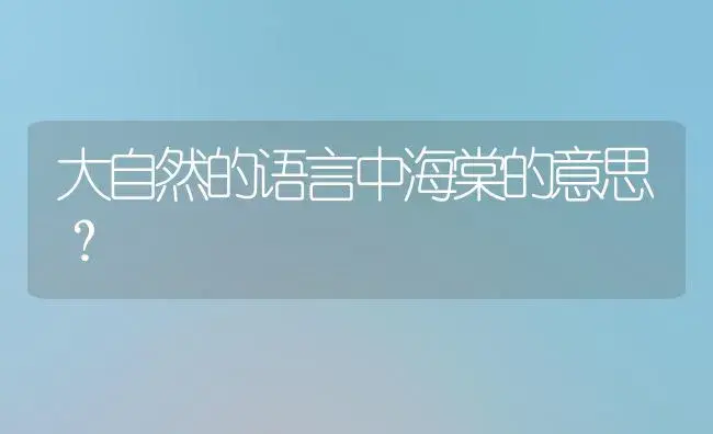 大自然的语言中海棠的意思？ | 绿植常识