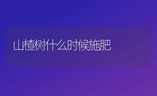 山楂树什么时候施肥 | 果木种植