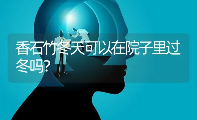 女人最好看的十大月季？ | 绿植常识