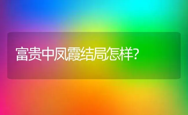 富贵中凤霞结局怎样？ | 多肉养殖