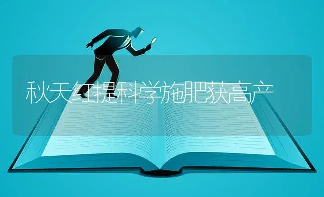 秋天红提科学施肥获高产 | 果木种植